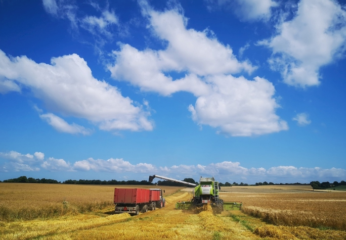 默認(rèn)內(nèi)容