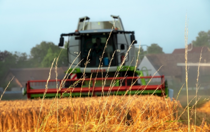 默認(rèn)內(nèi)容