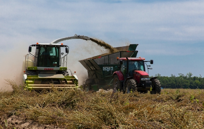 默認(rèn)內(nèi)容